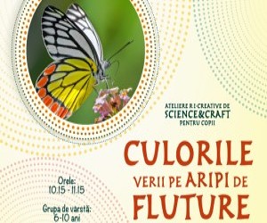 Culorile verii pe aripi de fluture la muzeu